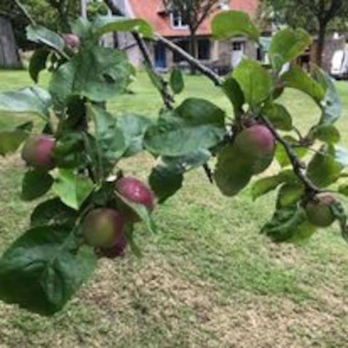 לינה וארוחת בוקר Sourdeval Ferme De Noyes מראה חיצוני תמונה